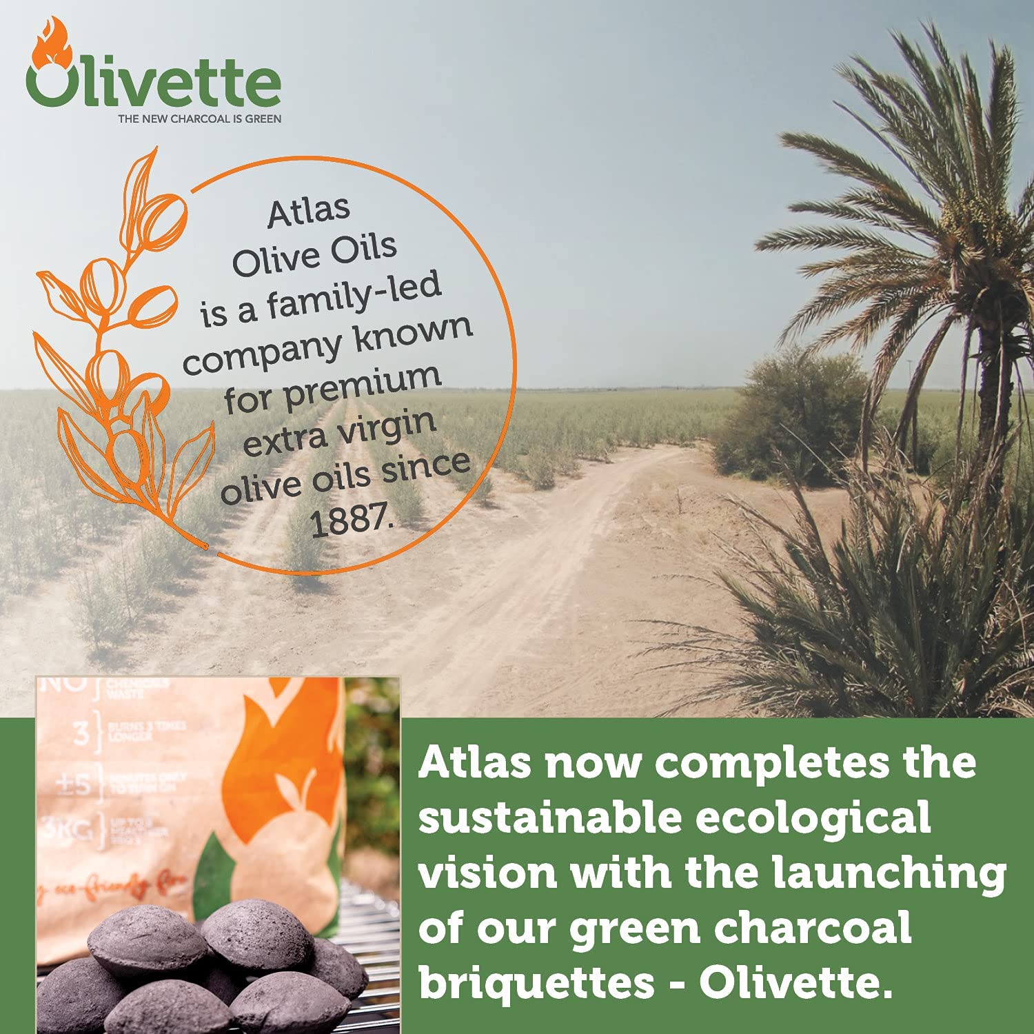 OLIVETTE Organic BBQ BRIQUETTES - Smoke Free - Ecological made from Recycling olive tree byproducts  - Burns 3 times longer - Reusable when using a Kettle type BBQ - Bag of 6.6 Lbs / 3 Kg