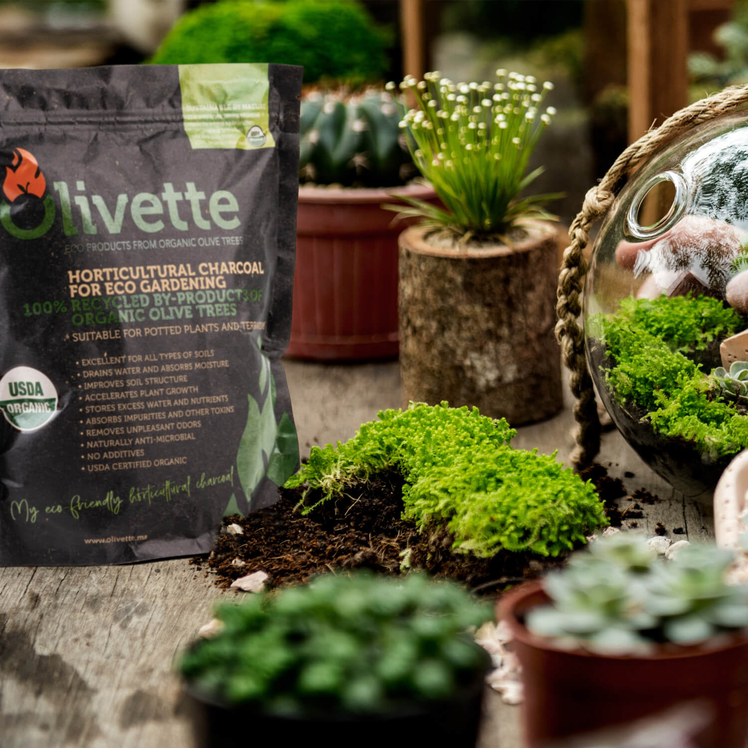 charcoal in house plants OLIVETTE HORTICULTURAL Organic Activated Charcoal